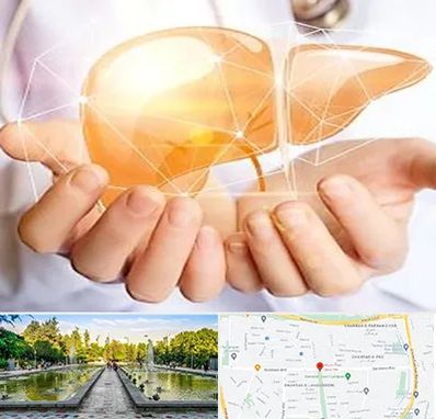 دکتر سرطان کبد در سرسبز 