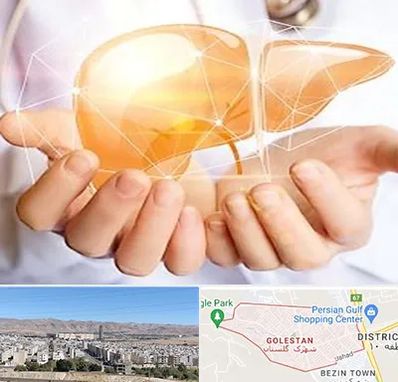 دکتر سرطان کبد در شهرک گلستان شیراز 