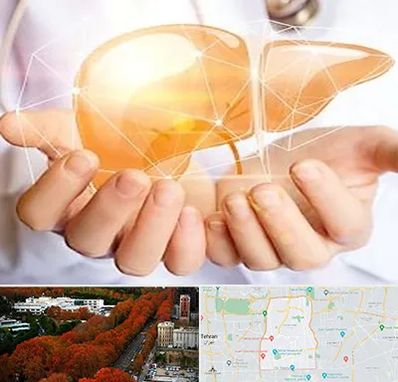 دکتر سرطان کبد در منطقه 6 تهران 