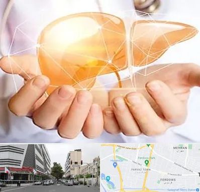 دکتر سرطان کبد در بلوار فردوس 