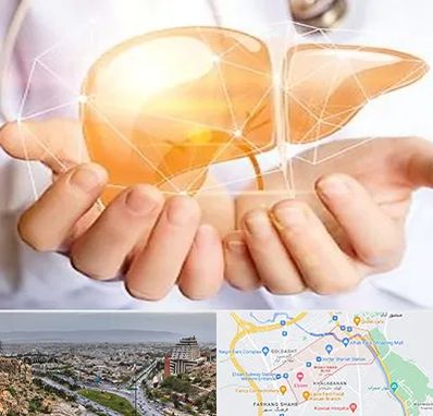 دکتر سرطان کبد در معالی آباد شیراز 