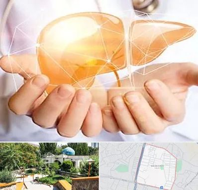 دکتر سرطان کبد در باغمیشه تبریز