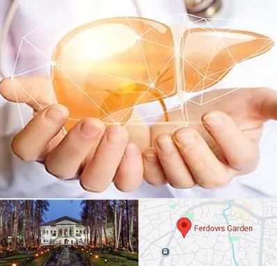 دکتر سرطان کبد در باغ فردوس