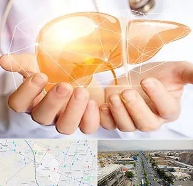 دکتر سرطان کبد در حصارک کرج 