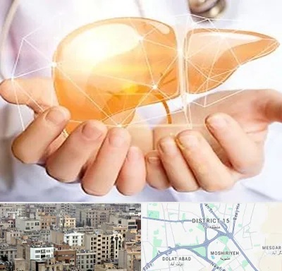دکتر سرطان کبد در جنوب شرق تهران
