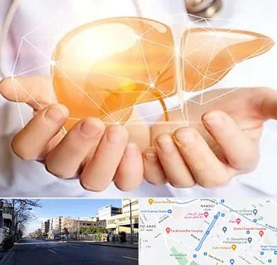 دکتر سرطان کبد در خیابان ملاصدرا شیراز 