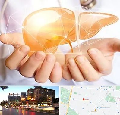 دکتر سرطان کبد در بلوار سجاد مشهد 