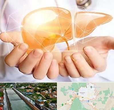 دکتر سرطان کبد در مراغه