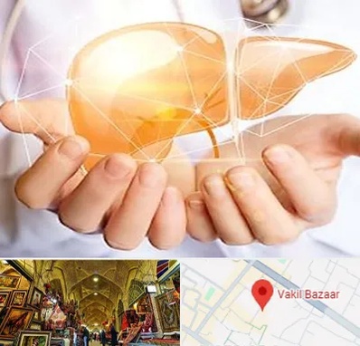 دکتر سرطان کبد در بازار وکیل شیراز