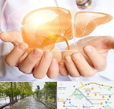 دکتر سرطان کبد در خیابان ارم شیراز 