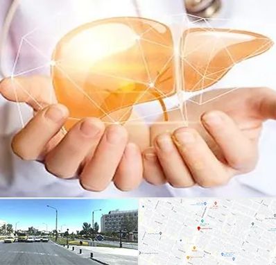 دکتر سرطان کبد در بلوار کلاهدوز مشهد 