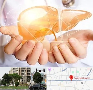 دکتر سرطان کبد در میدان فردوسی تهران