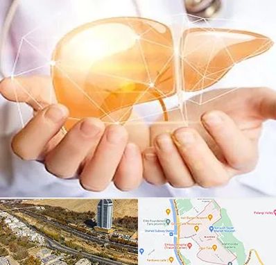 دکتر سرطان کبد در خیابان نیایش شیراز 