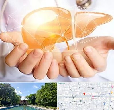 دکتر سرطان کبد در هشت بهشت اصفهان 