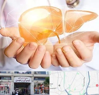 دکتر سرطان کبد در ایران زمین