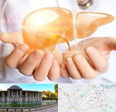 دکتر سرطان کبد در عفیف آباد شیراز 