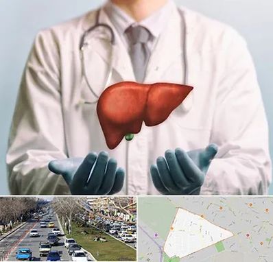 جراح سرطان کبد در احمدآباد مشهد 