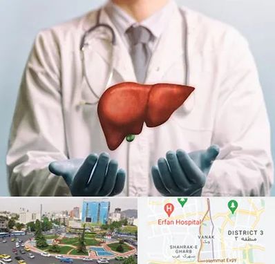 جراح سرطان کبد در ونک 