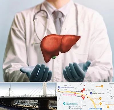 جراح سرطان کبد در پارک وی 
