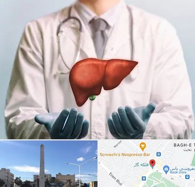 جراح سرطان کبد در فلکه گاز شیراز 