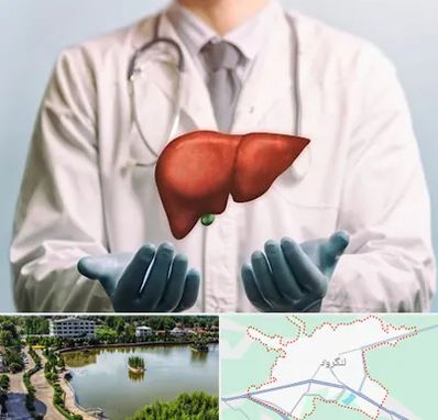 جراح سرطان کبد در لنگرود