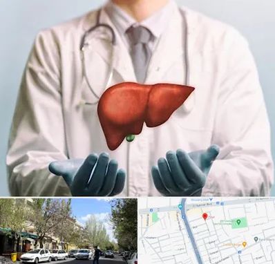 جراح سرطان کبد در کوی فیروز تبریز