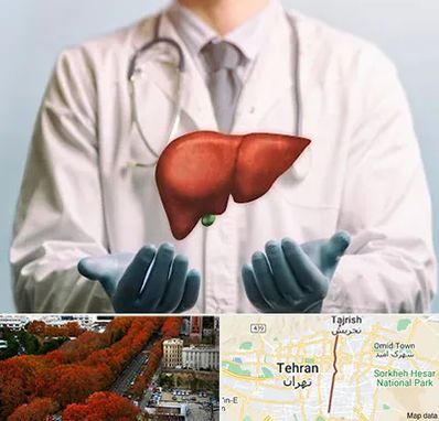 جراح سرطان کبد در ولیعصر 