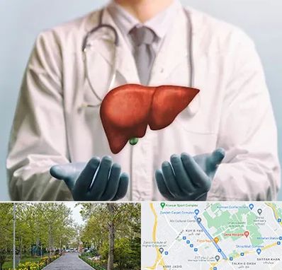جراح سرطان کبد در قدوسی غربی شیراز 