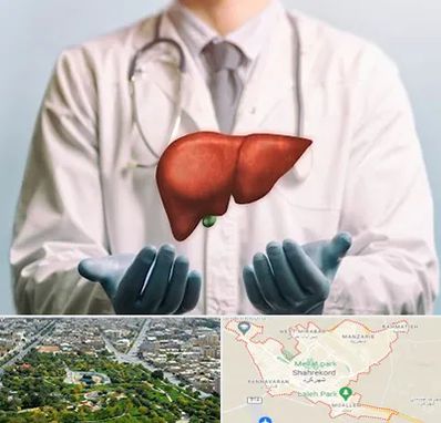 جراح سرطان کبد در شهرکرد