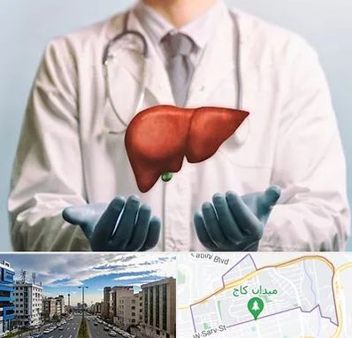 جراح سرطان کبد در سعادت آباد 