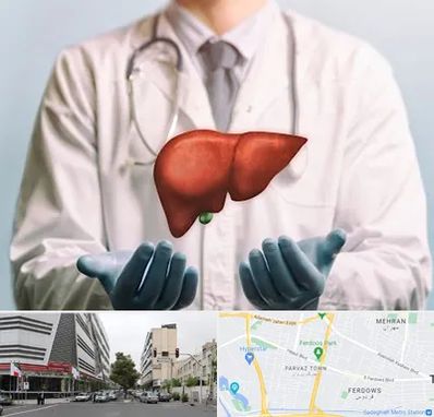 جراح سرطان کبد در بلوار فردوس 