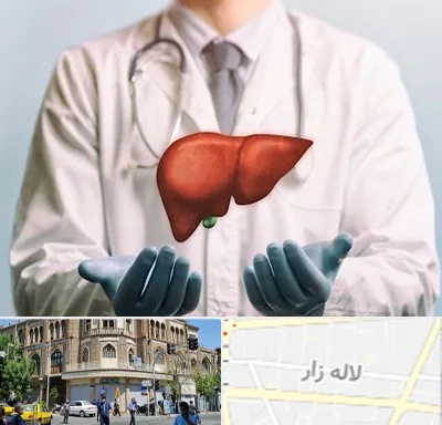 جراح سرطان کبد در لاله زار