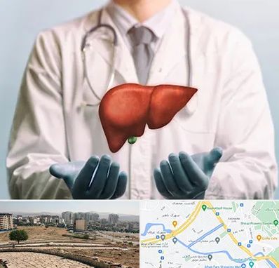 جراح سرطان کبد در کوی وحدت شیراز 