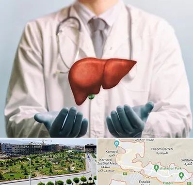 جراح سرطان کبد در پردیس