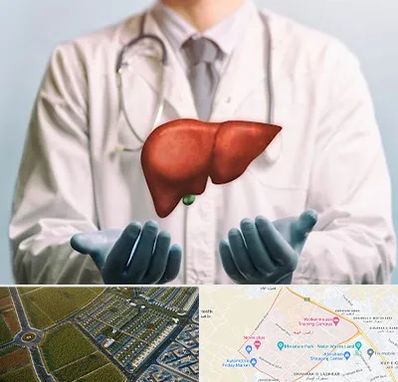 جراح سرطان کبد در الهیه مشهد 