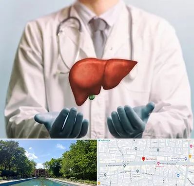 جراح سرطان کبد در هشت بهشت اصفهان 