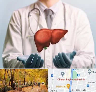 جراح سرطان کبد در چهارباغ اصفهان 