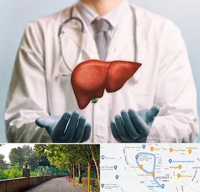 جراح سرطان کبد در بلوار گیلان رشت 