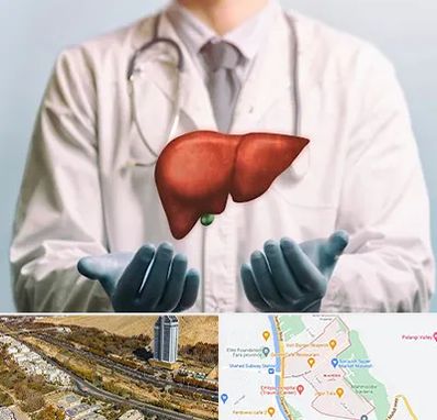 جراح سرطان کبد در خیابان نیایش شیراز 