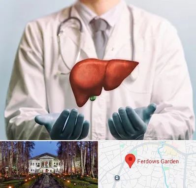 جراح سرطان کبد در باغ فردوس