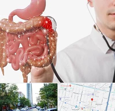 دکتر سرطان روده بزرگ در امامت مشهد 