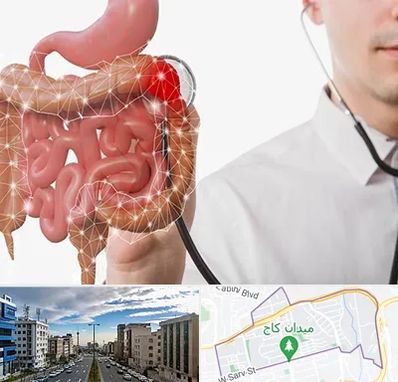 دکتر سرطان روده بزرگ در سعادت آباد 