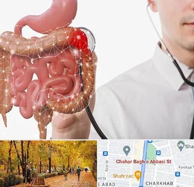 دکتر سرطان روده بزرگ در چهارباغ اصفهان 