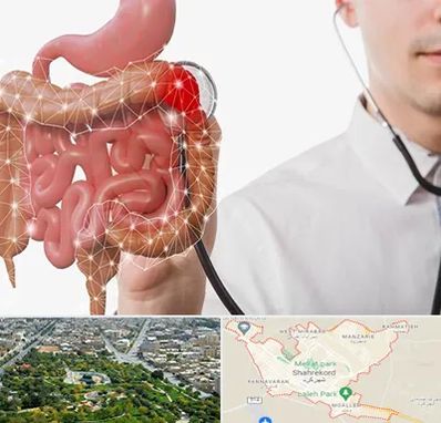 دکتر سرطان روده بزرگ در شهرکرد