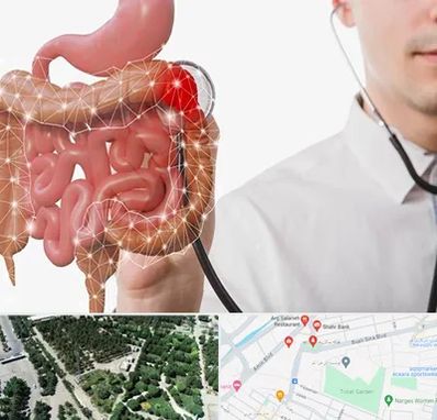 دکتر سرطان روده بزرگ در سالاریه قم