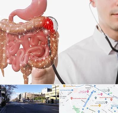 دکتر سرطان روده بزرگ در خیابان ملاصدرا شیراز 