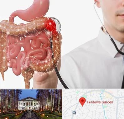 دکتر سرطان روده بزرگ در باغ فردوس
