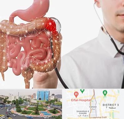دکتر سرطان روده بزرگ در ونک 