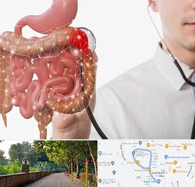 دکتر سرطان روده بزرگ در فلکه گاز رشت 