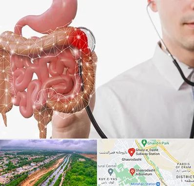 دکتر سرطان روده بزرگ در قصرالدشت شیراز 